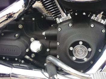 PEINTURE GRAINEE FIN #GRAINOIRFIN9120