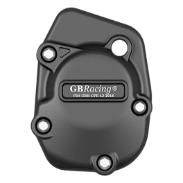 PROTECTION ALLUMAGE GB RACING Kawasaki Z900RS/SE 2018-2026