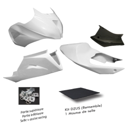 Ensemble pack carénage.