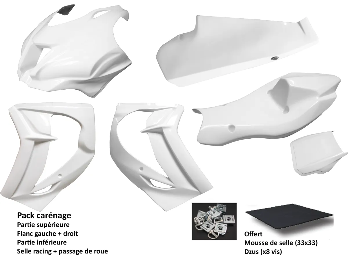 Pack carénage Sebimoto KAWASAKI ZX-10R 2016 2020